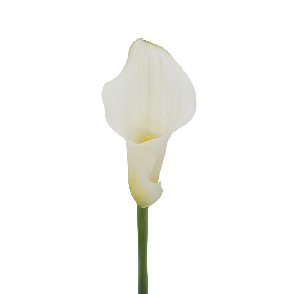 esmeralda-farms-mini-calla-lily-pure-art-3