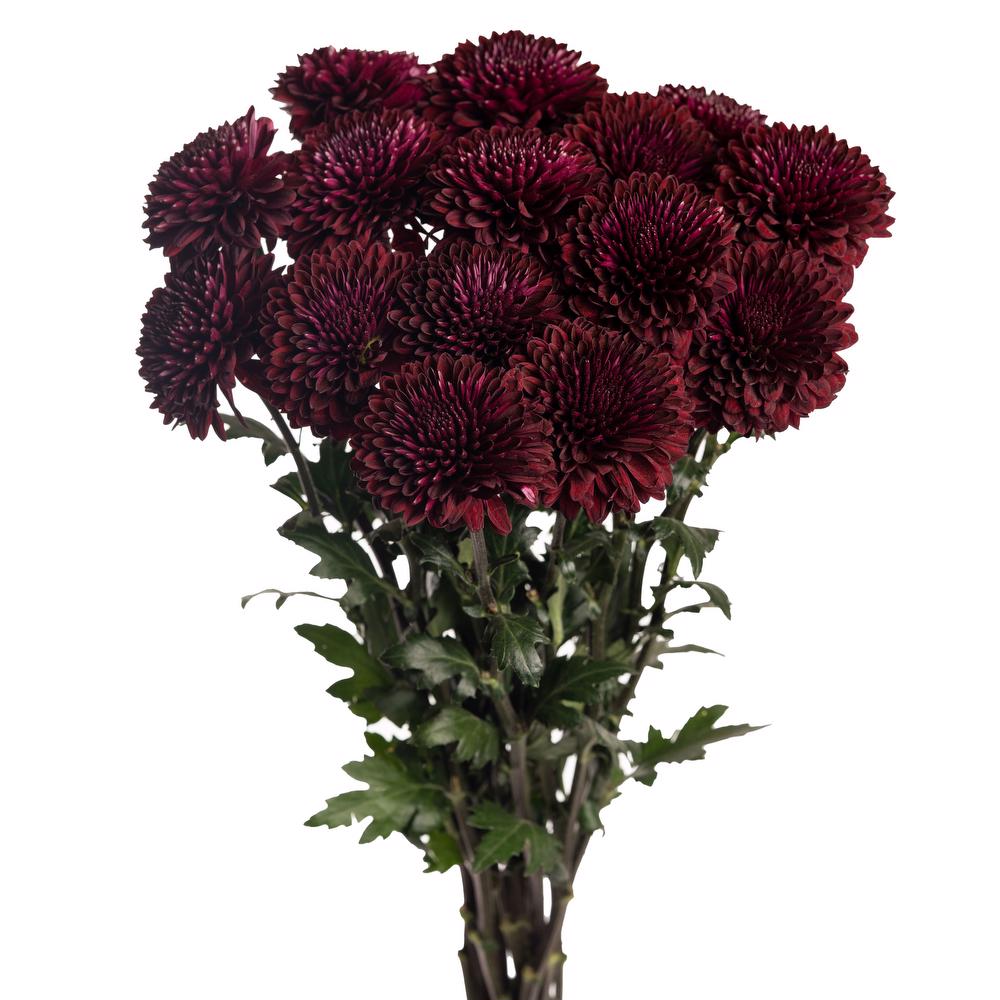 esmeralda-farms-cremon-ganache-esfera-3