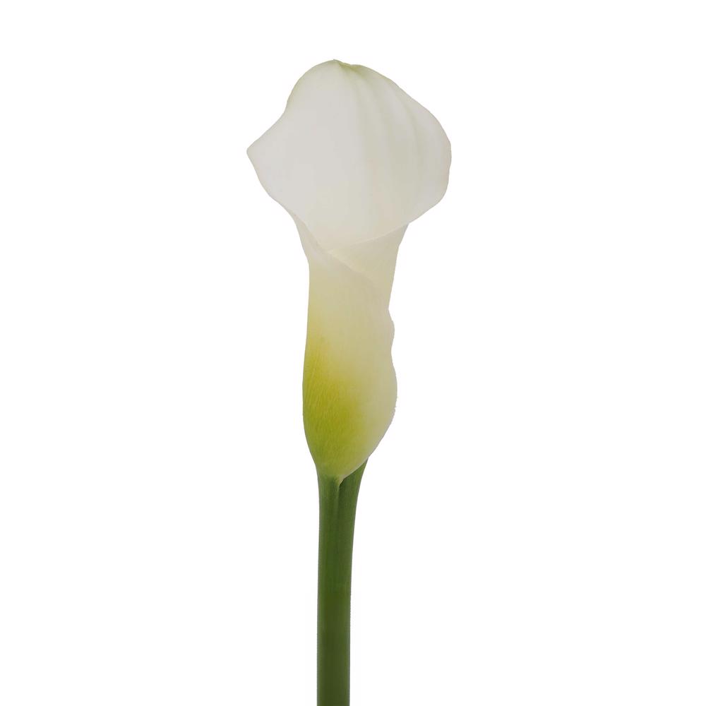 esmeralda-farms-mini-calla-lily-aspen-w-3