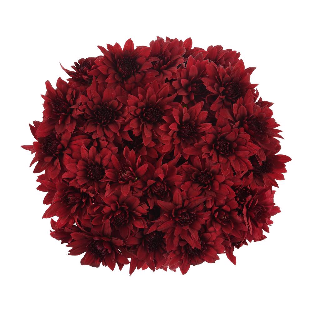 esmeralda-farms-pompon-cushion-testarossa-red-3