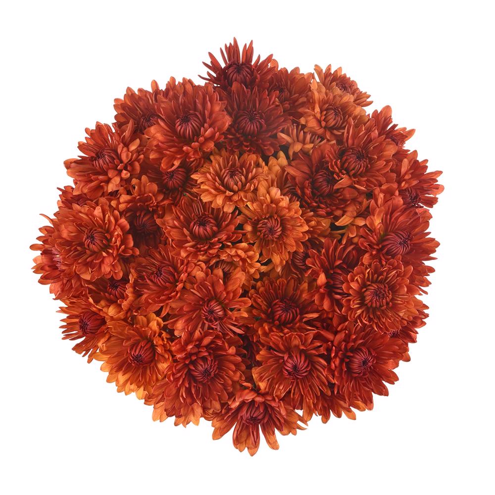 esmeralda-farms-pompon-cushion-saloom-3