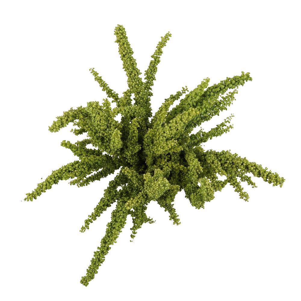 esmeralda-farms-rumex-unicorn-4