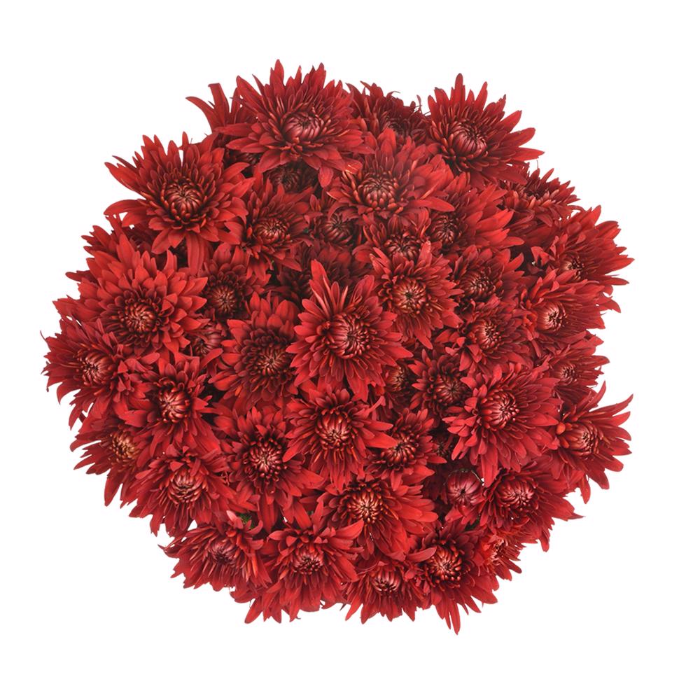 esmeralda-farms-pompon-cushion-rock-3