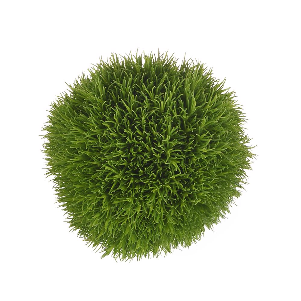 esmeralda-farms-dianthus-green-ball-kiwi-5