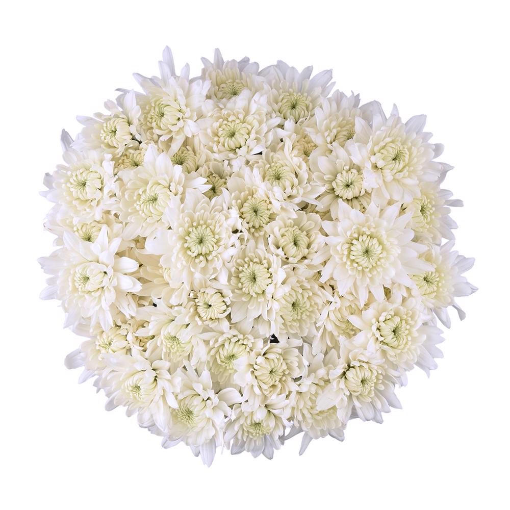 esmeralda-farms-pompon-cushion-alexis-3