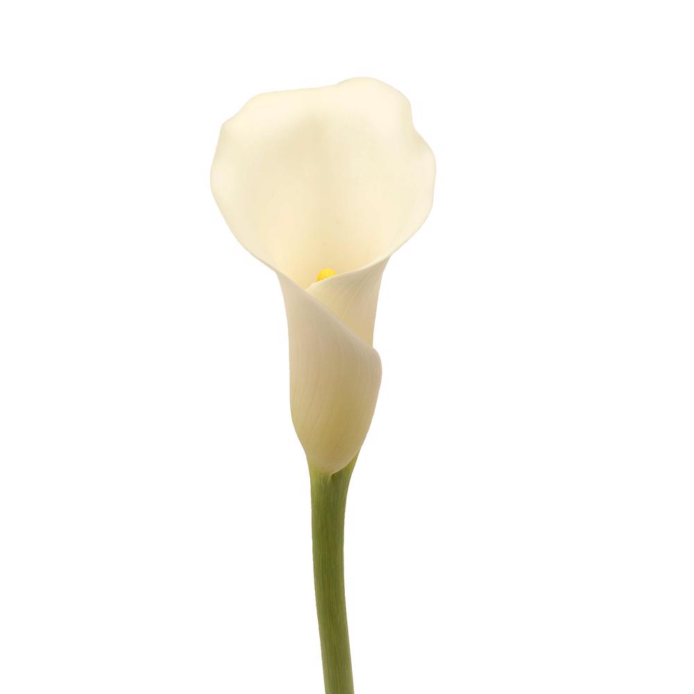 esmeralda-farms-mini-calla-lily-white-horse-3