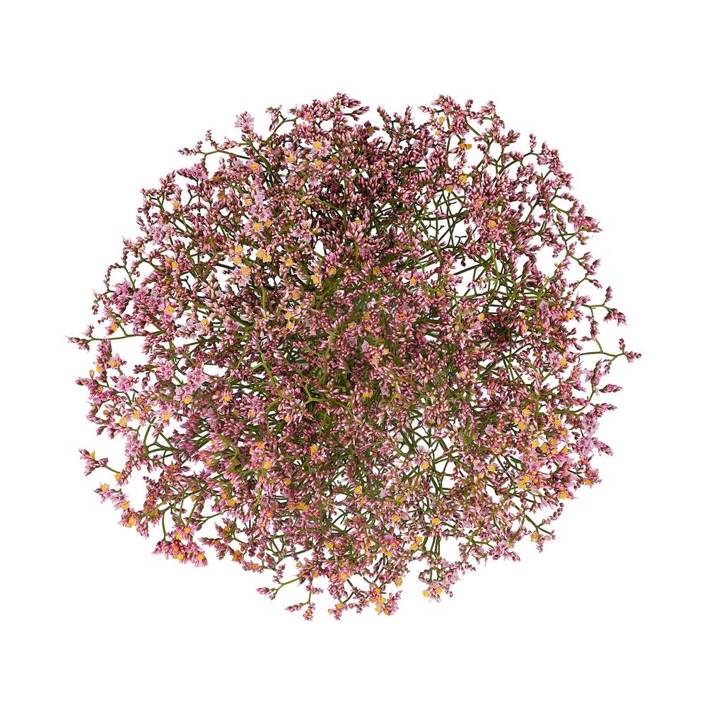 esmeralda-farms-limonium-pink-activa-3