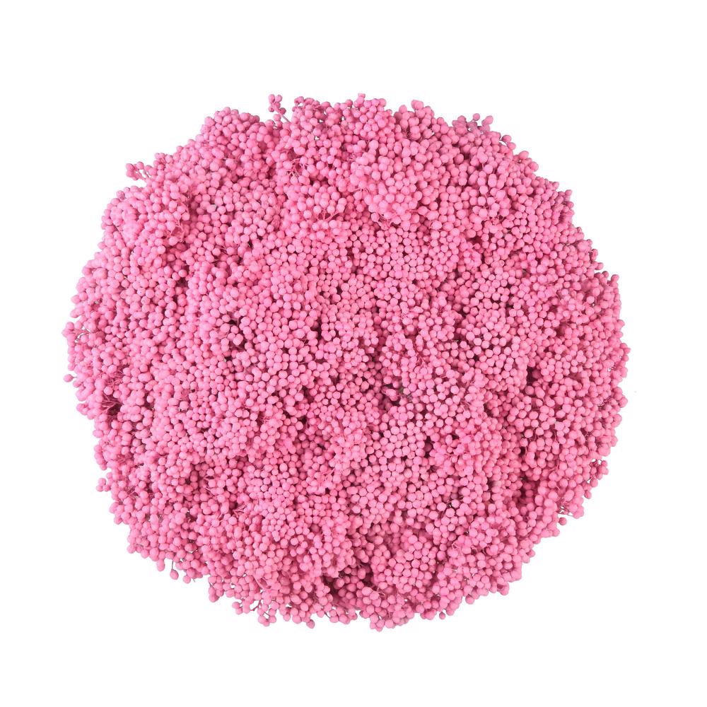 esmeralda-farms-rice-flower-light-pink-3