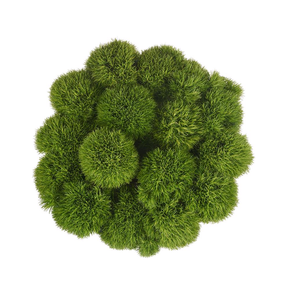esmeralda-farms-dianthus-green-ball-kiwi-3
