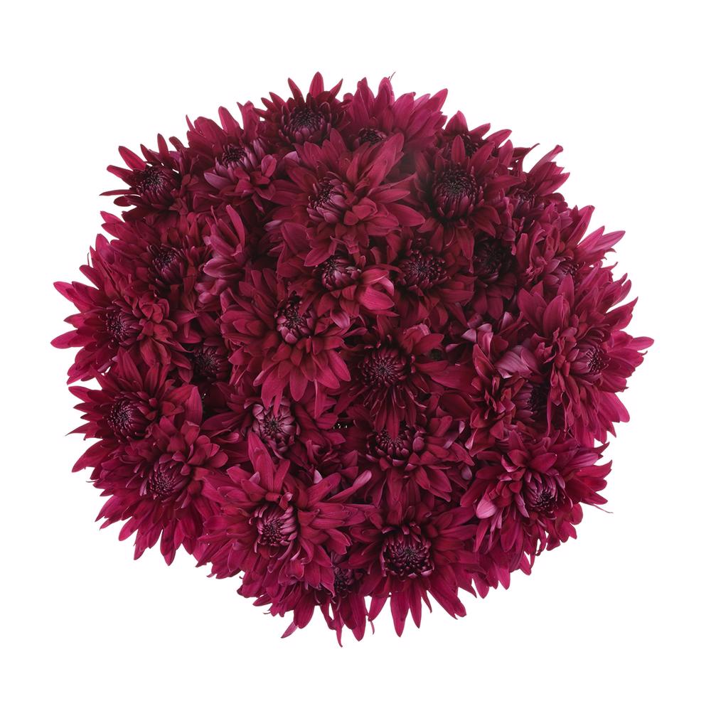 esmeralda-farms-pompon-cushion-printempo-3