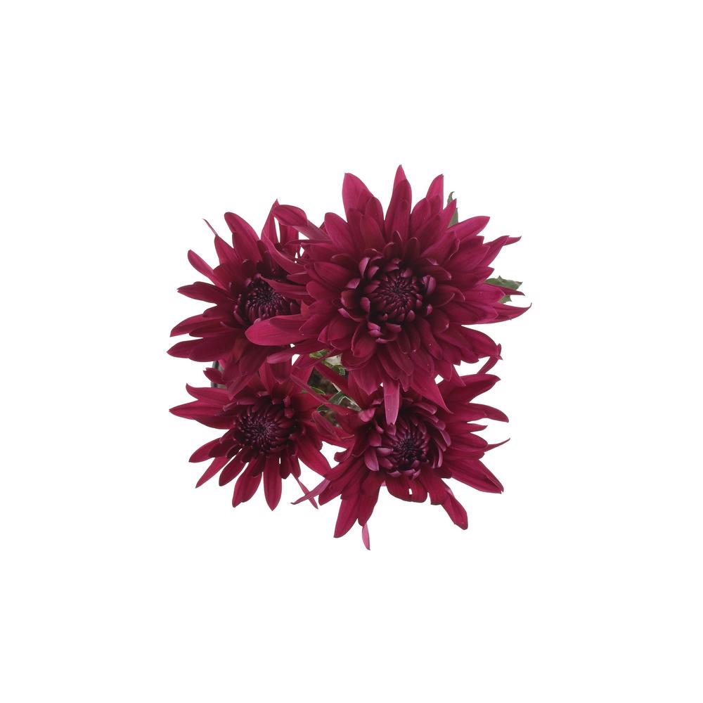 esmeralda-farms-pompon-cushion-printempo-5