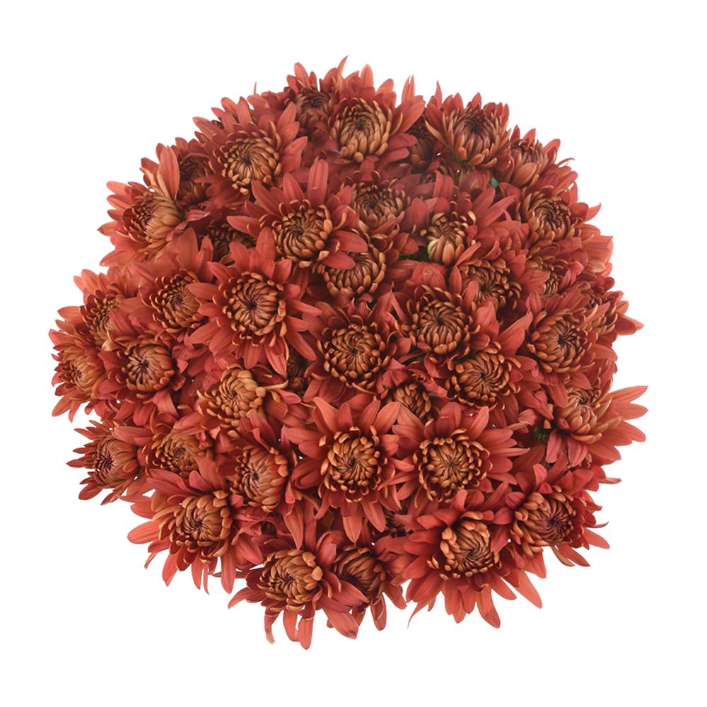 esmeralda-farms-pompon-cushion-flamma-3