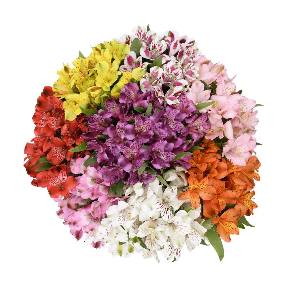 esmeralda-farms-alstroemeria-assorted