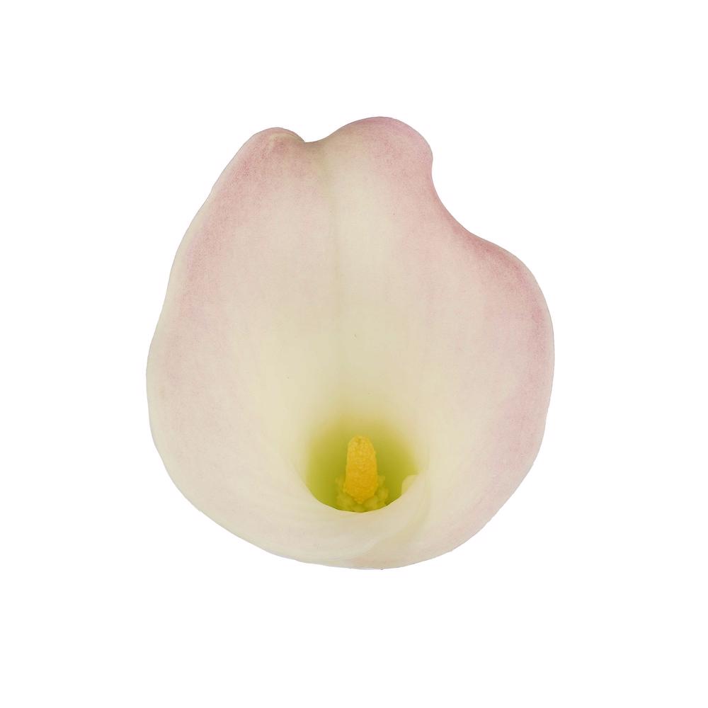 esmeralda-farms-mini-calla-lily-perle-rose-4