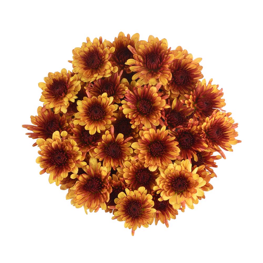 esmeralda-farms-pompon-cushion-prinz-3