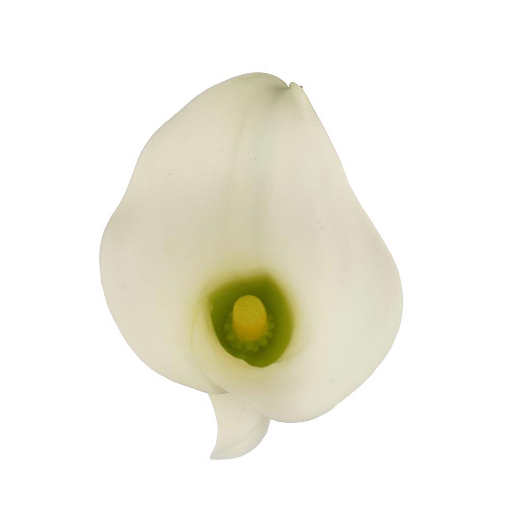 esmeralda-farms-mini-calla-lily-white-present-4