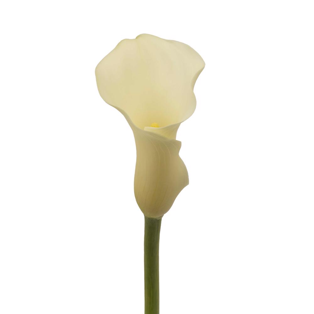 esmeralda-farms-mini-calla-lily-white-flirt-3