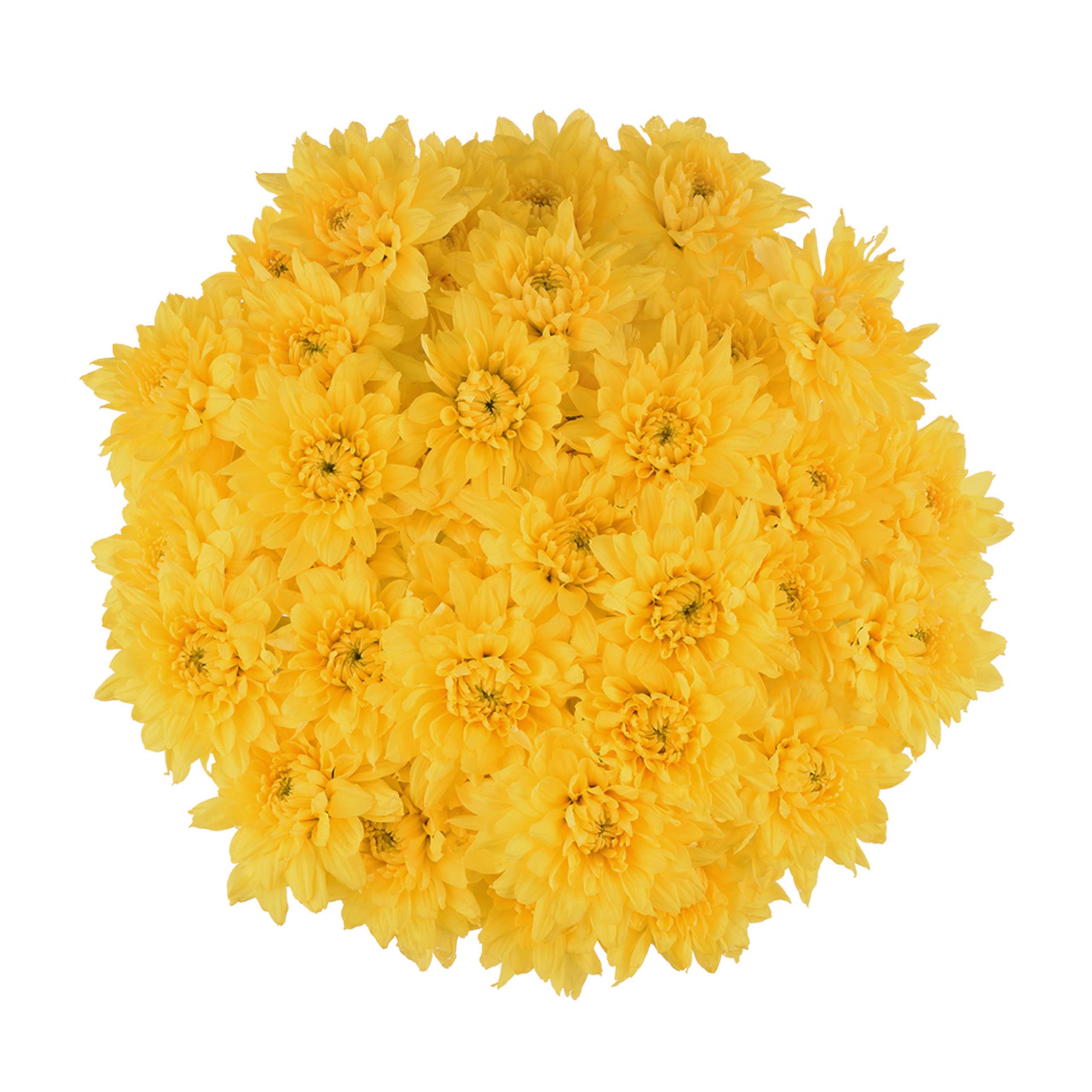 esmeralda-farms-pompon-cushion-golden-kent-3