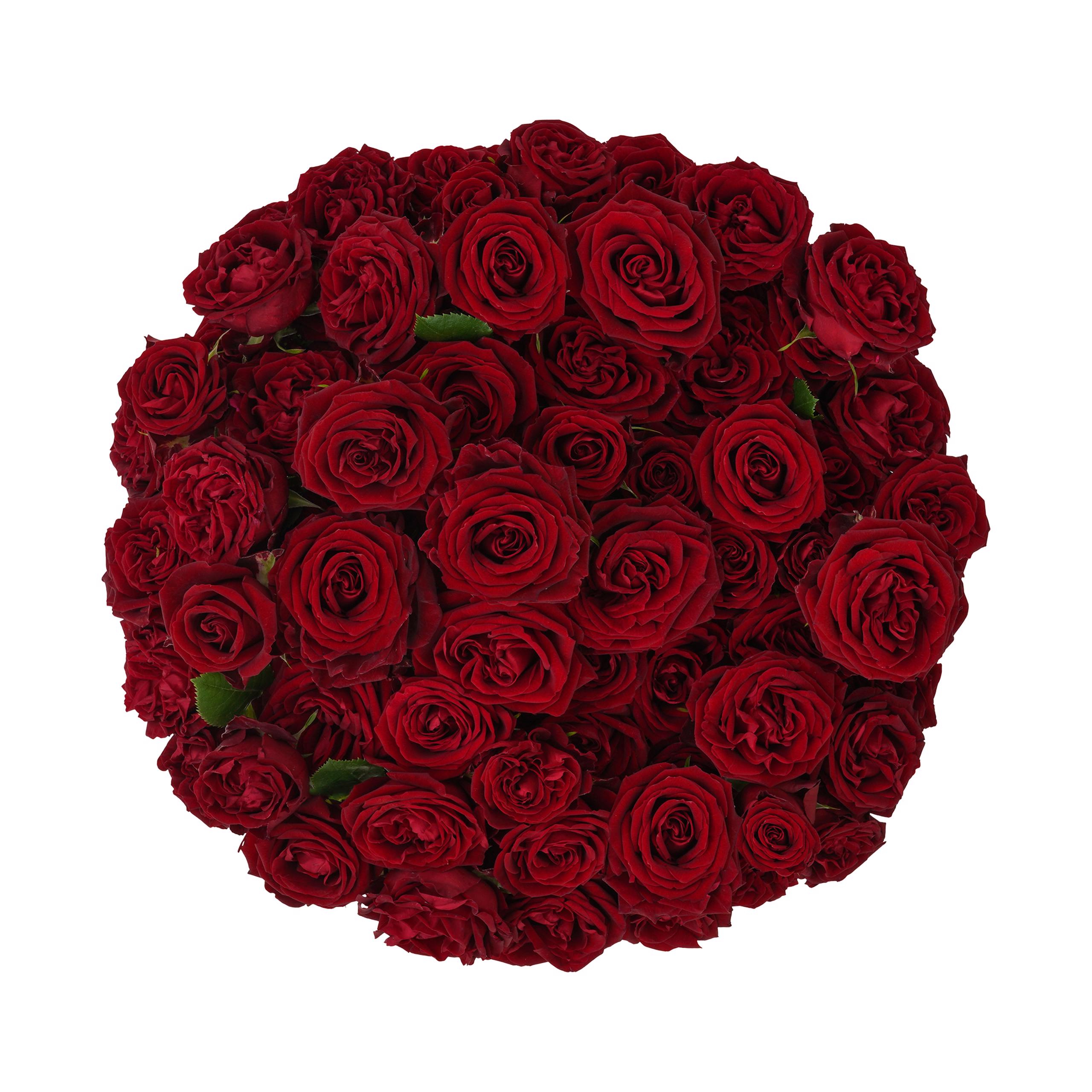 esmeralda-farms-spray-rose-fibonacci-rosso-4