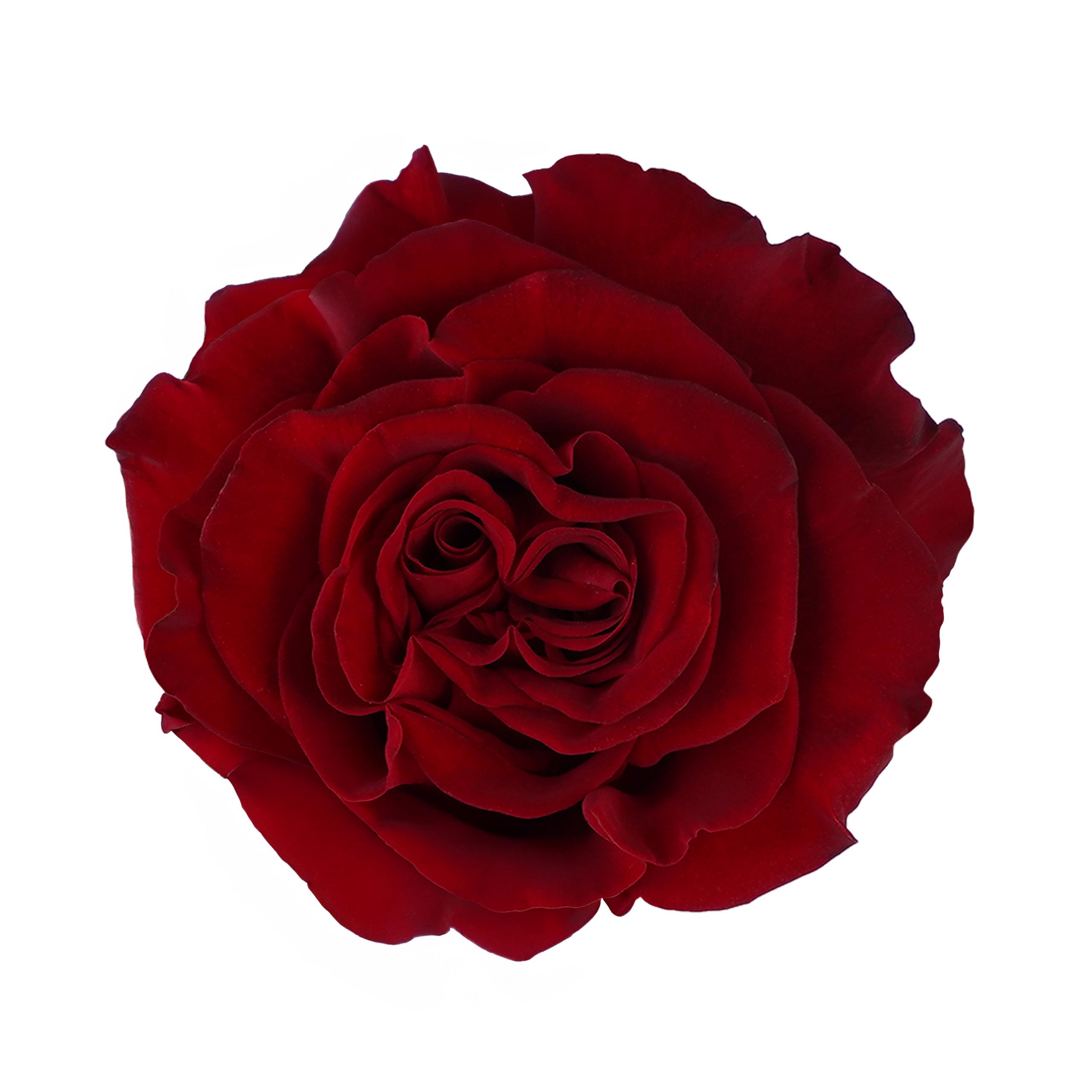 esmeralda-farms-rose-hearts