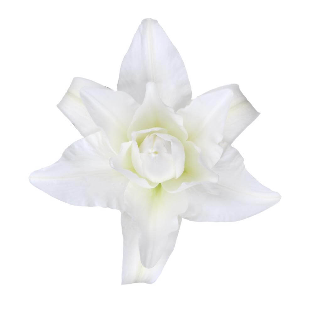 esmeralda-farms-chardonnay-roselily