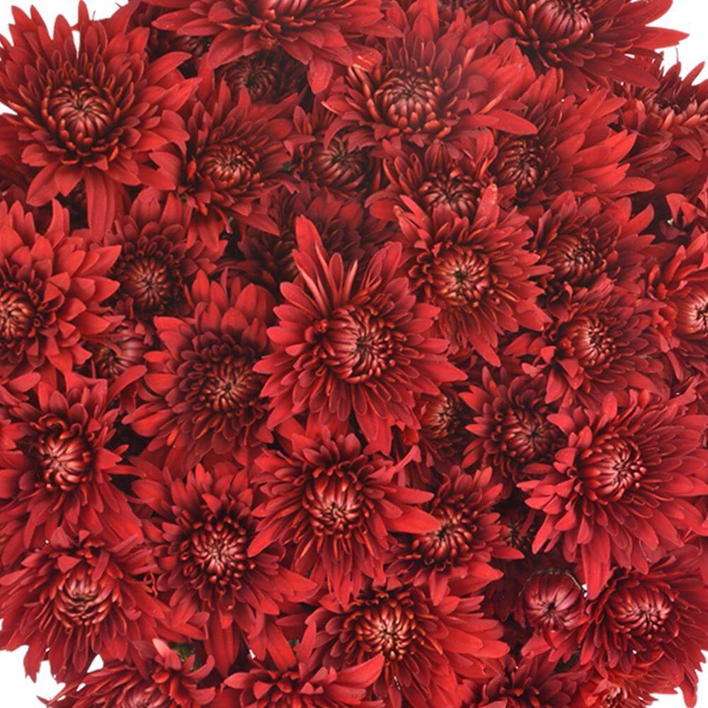 esmeralda-farms-pompon-cushion-rock-1