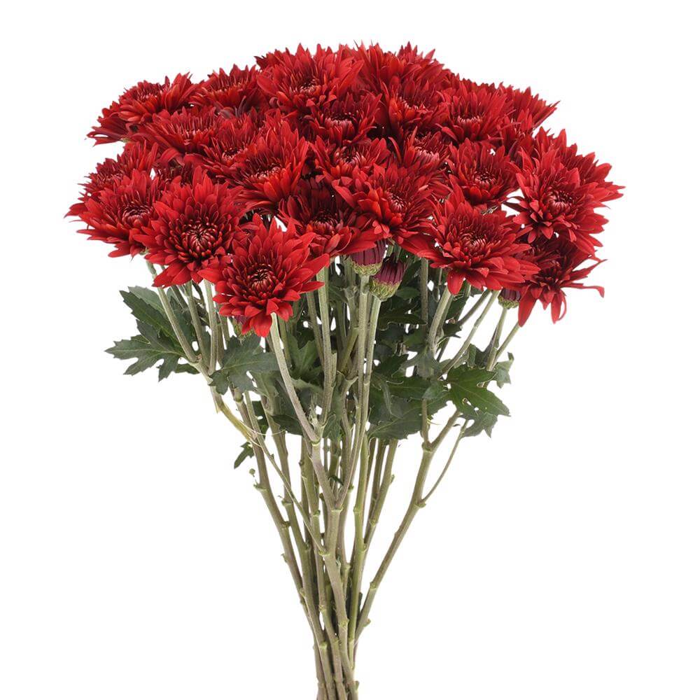 esmeralda-farms-pompon-cushion-rock-2