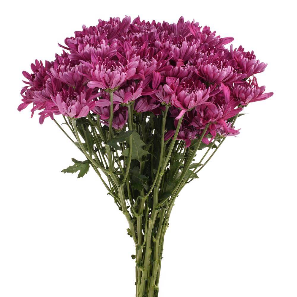 esmeralda-farms-pompon-cushion-andrea-2