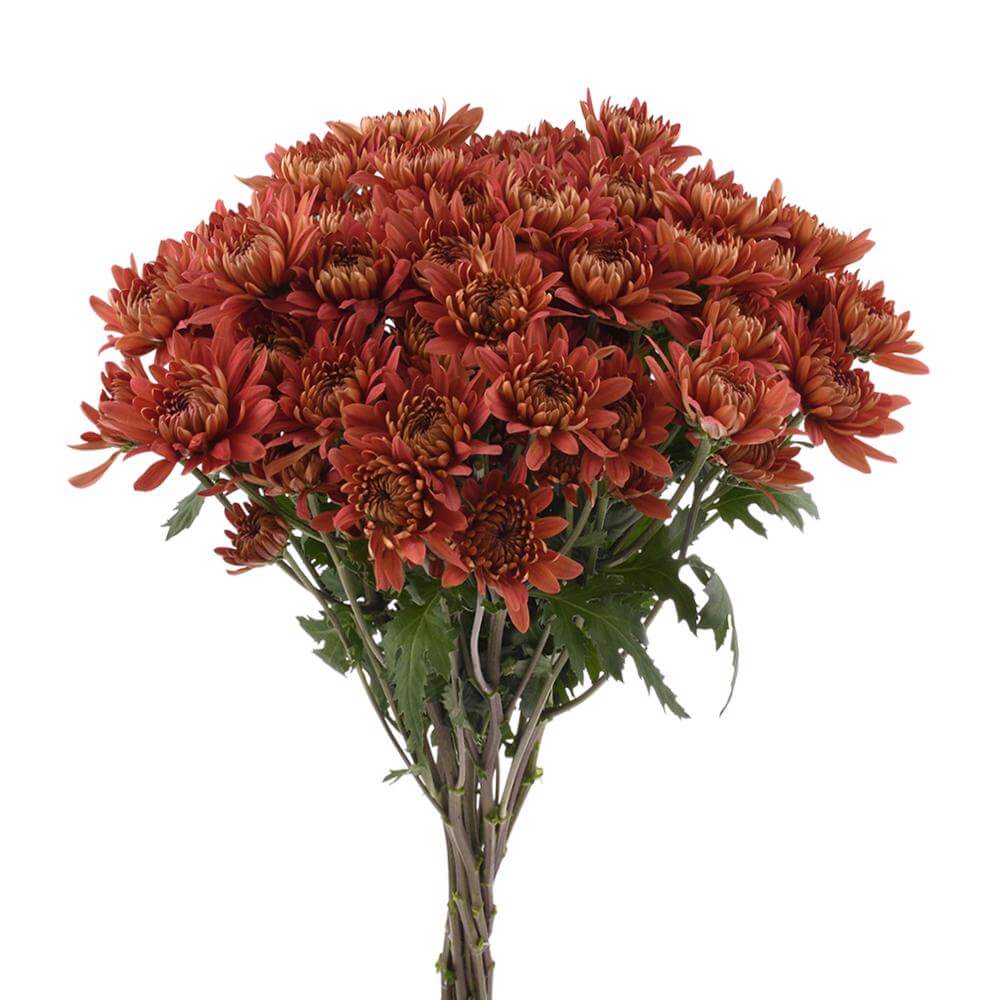 esmeralda-farms-pompon-cushion-flamma-2