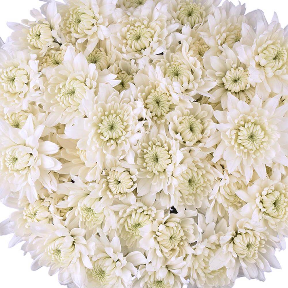 esmeralda-farms-pompon-cushion-alexis-1