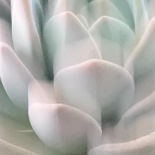 trancool-inspiration-3