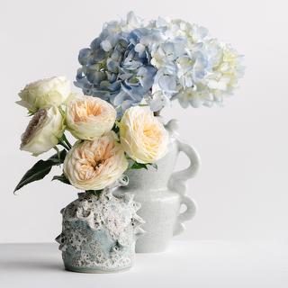 trancool-inspiration-3