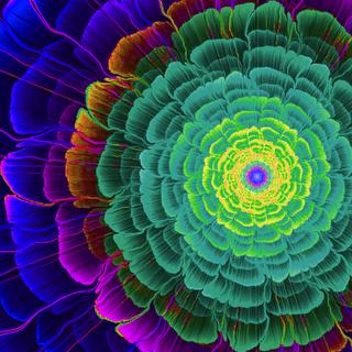 phytovirtual-inspiration-4