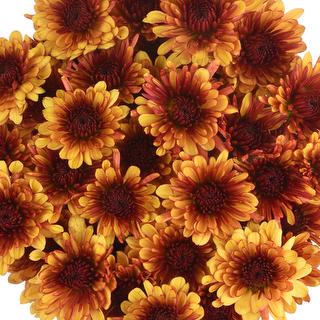 esmeralda-farms-pompon-cushion-prinz-1