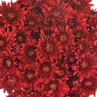 esmeralda-farms-pompon-cushion-rock-1