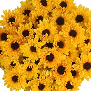 esmeralda-farms-pompon-novelty-micro-vybowl-1