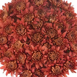 esmeralda-farms-pompon-cushion-flamma-1