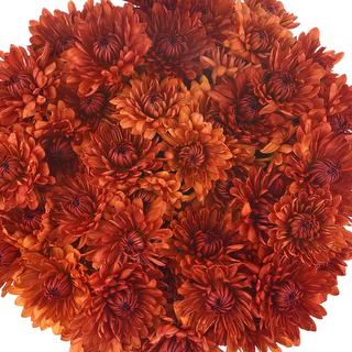 esmeralda-farms-pompon-cushion-saloom-1