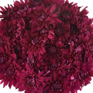 esmeralda-farms-pompon-cushion-printempo-1