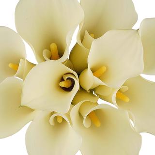 esmeralda-farms-mini-calla-lily-white-flirt-1