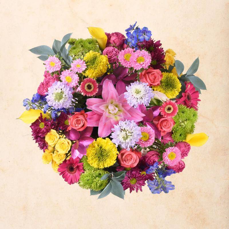 phytovirtual-diamond